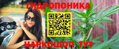 индика Кулебаки