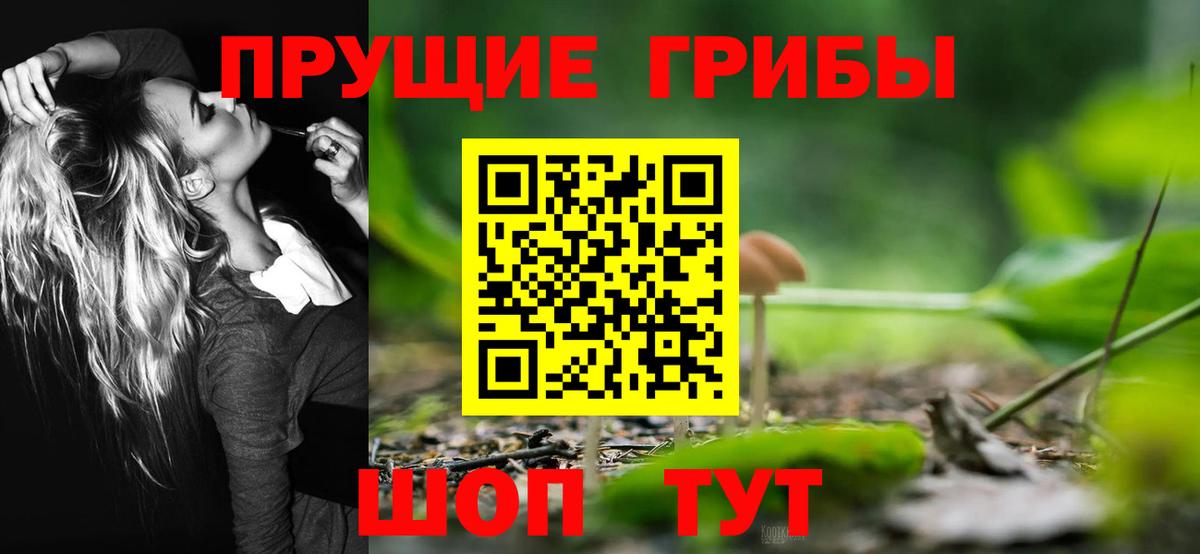 Галлюциногенные грибы прущие грибы  Псилоцибиновые грибы GOLDEN TEACHER  закладки  Вход с VPN  Ханты-Мансийск 
